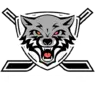 ХК Тамбов